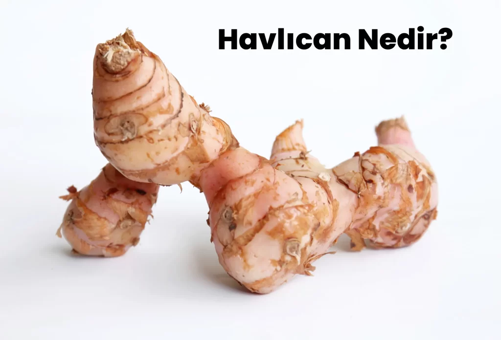 Havlıcan Nedir?