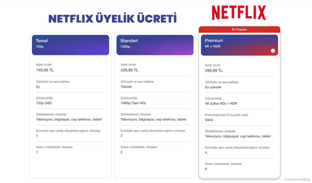 Netflix Üyelik Ücreti