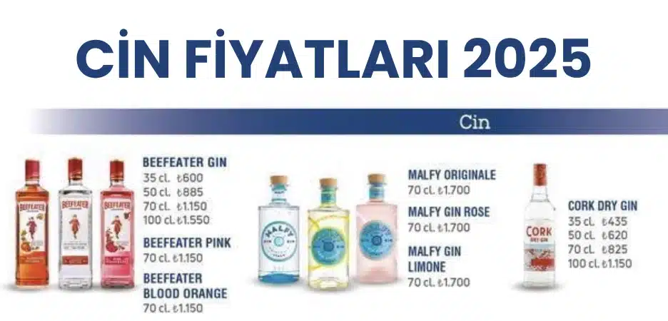 Cin Fiyatları 2025