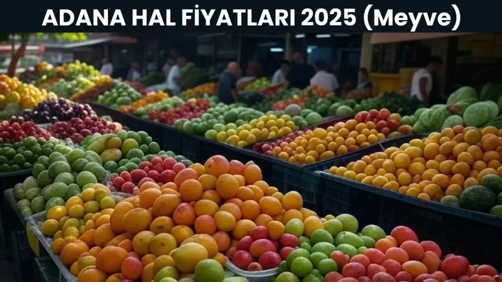 ADANA HAL FİYATLARI 2025 (Meyve)