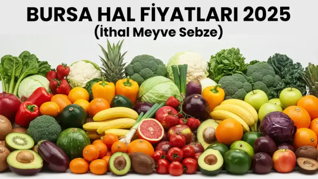 Bursa Hal Fiyatları - İthal Meyve Sebze 2025