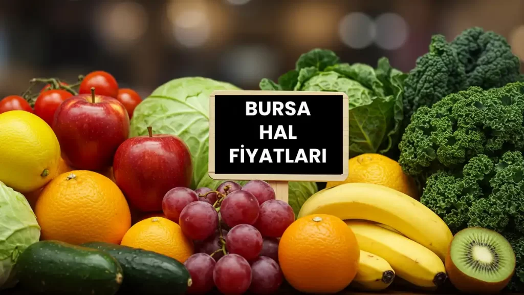 Bursa Hal Fiyatları 2025