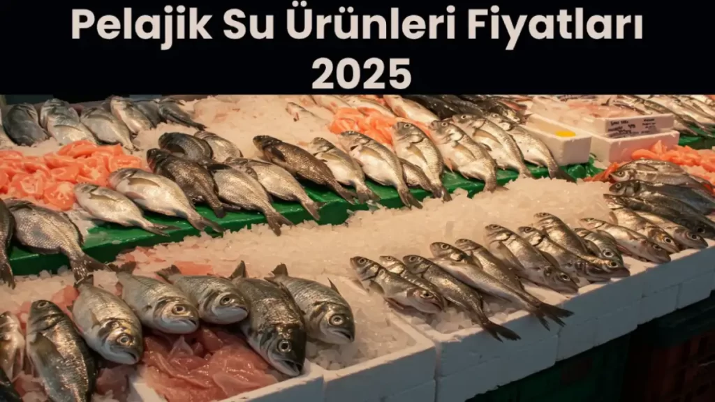 Pelajik Su Ürünleri Fiyatları 2025