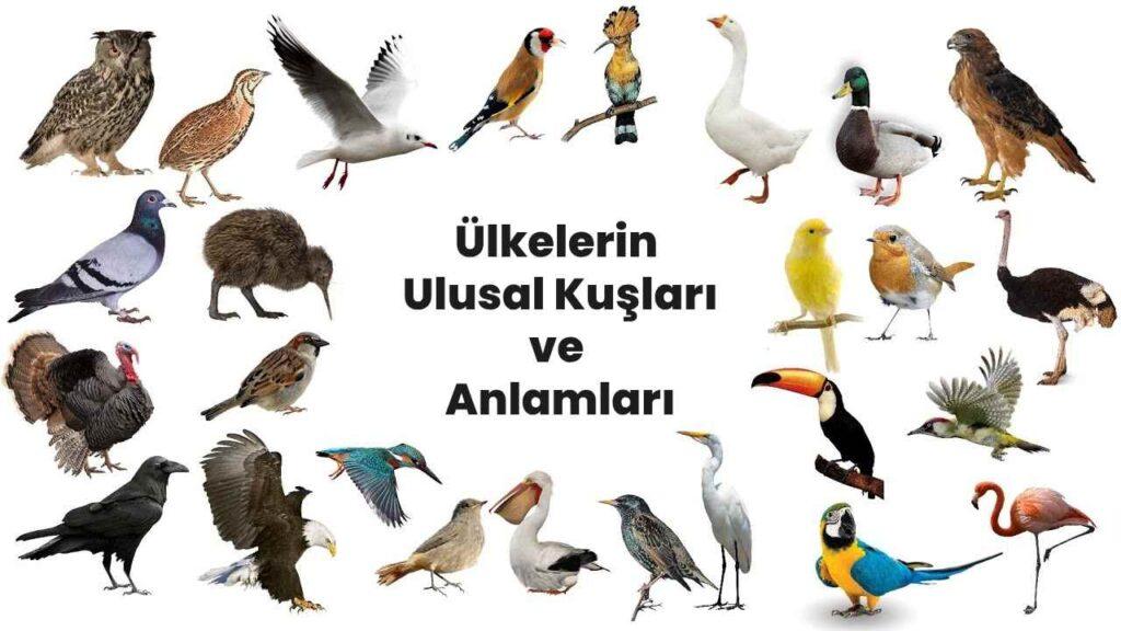 Ülkelerin 
Ulusal Kuşları
ve 
Anlamları