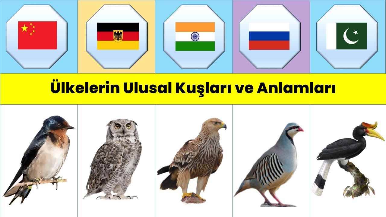 Ülkelerin Ulusal Kuşları