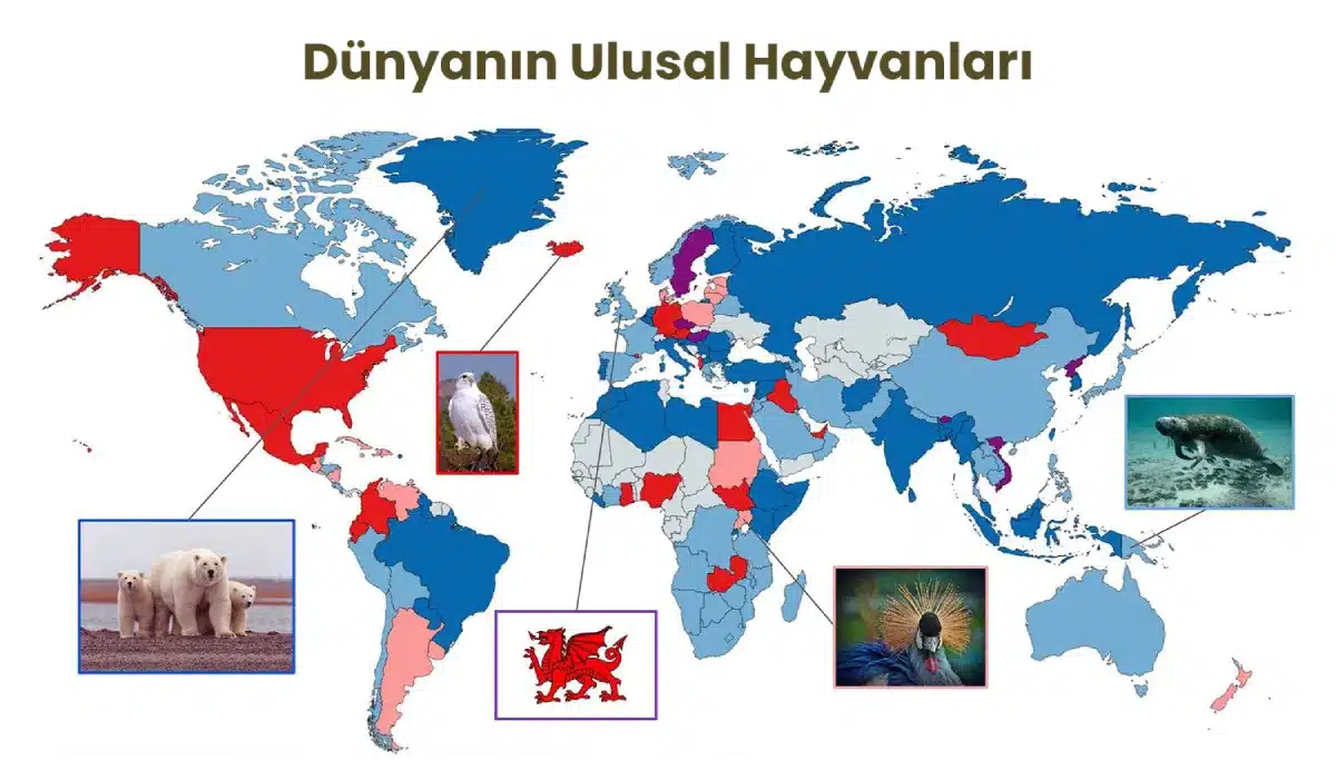 Dünyanın Ulusal Hayvanları