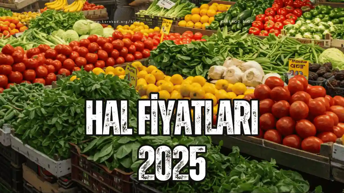 Hal Fiyatları 2025