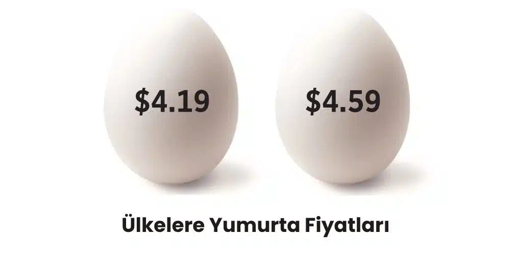 Yumurta Fiyatları