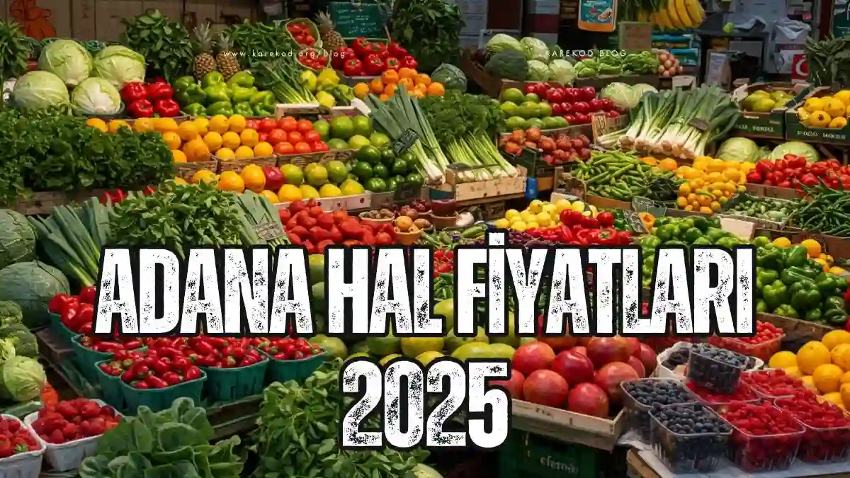 Adana Hal Fiyatları Günlük