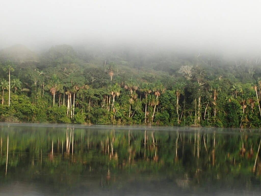 Madidi Ulusal Parkı, Bolivya